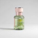 Blender Portable ÉlixirVita | Rechargeable USB pour Smoothies & Jus Frais – Image 4